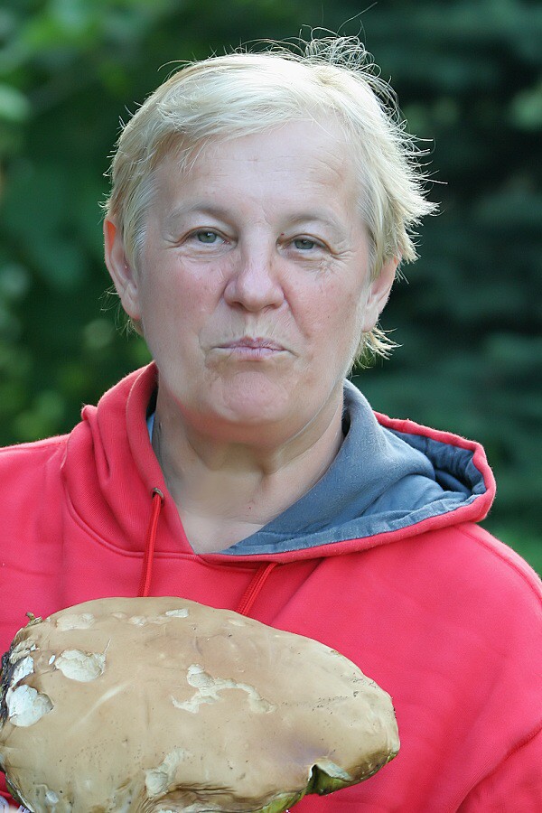 hubostretko Orava